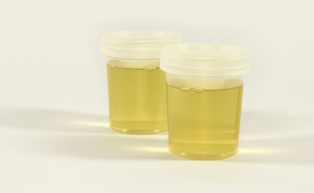 Synthetic Urine