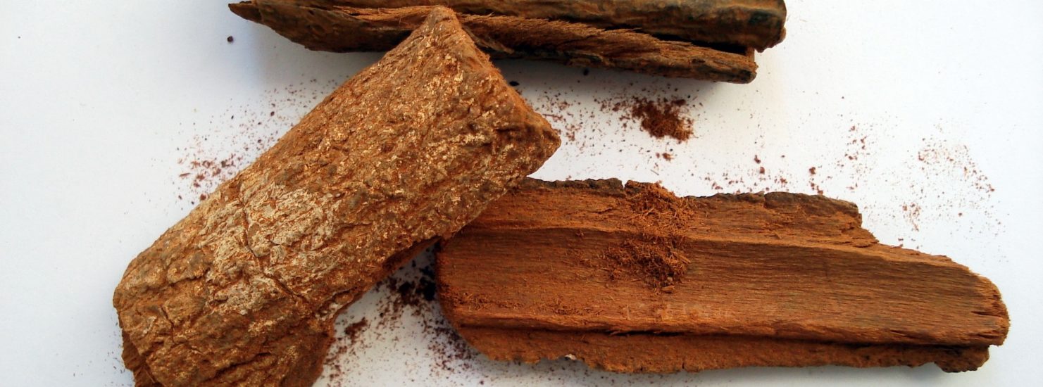 Malaria Treatment Drugs